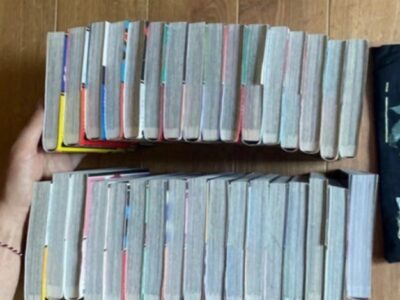 Manga my hero academia