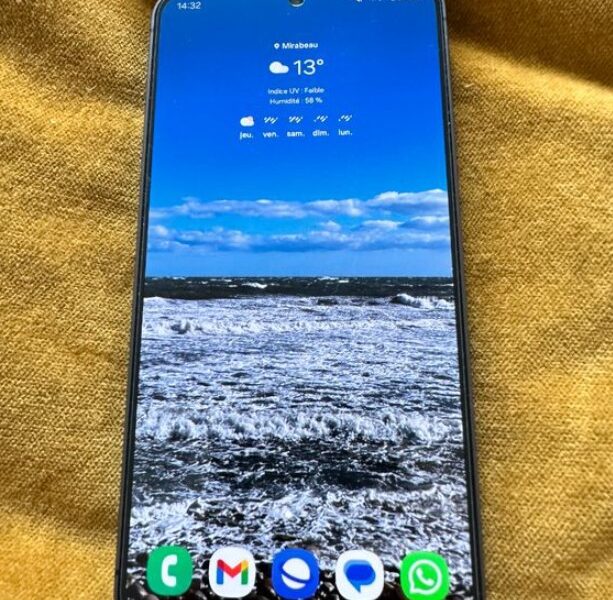 Samsung Galaxy S25 256 go