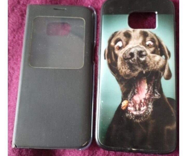 Lot de 2 coques Samsung S7 Edge