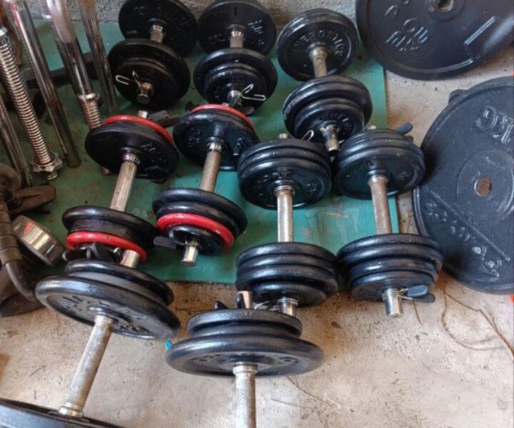 Paire d'haltères musculation