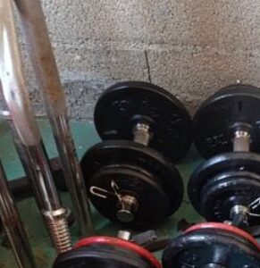 Paire d'haltères musculation