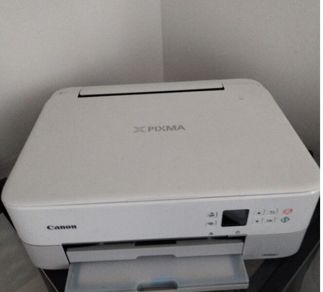 Imprimante Prisma ts5351