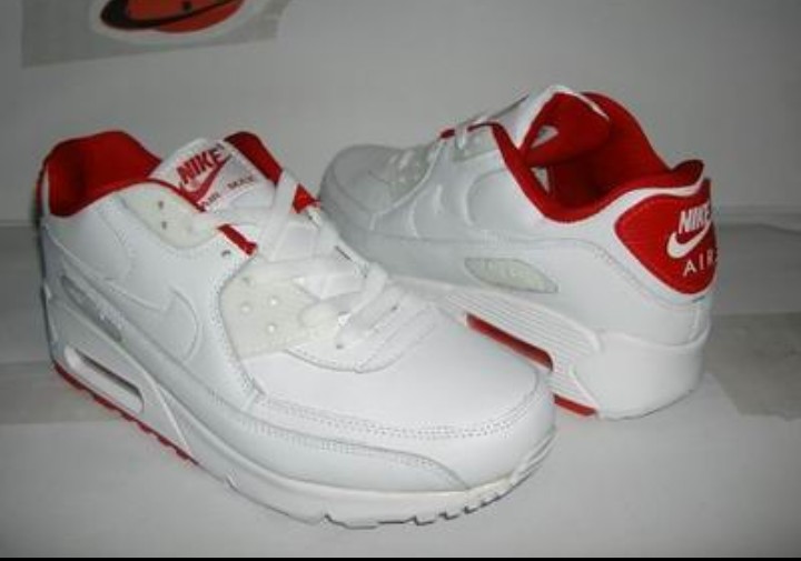 Baskets Nike Air Max taille 42