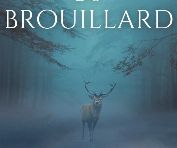 Livre Au delà du brouillard