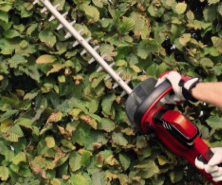 Taille-haies électrique
