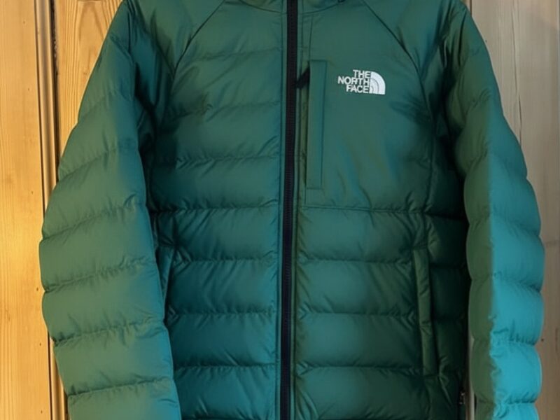 veste the north face