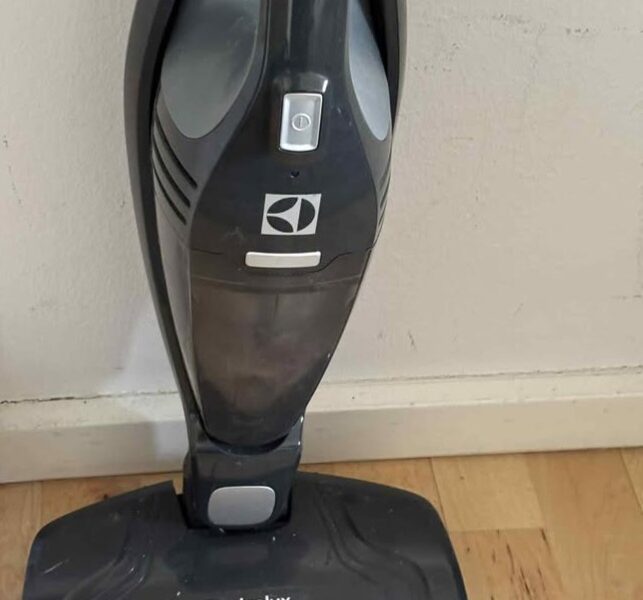 aspirateur sans fil electrolux