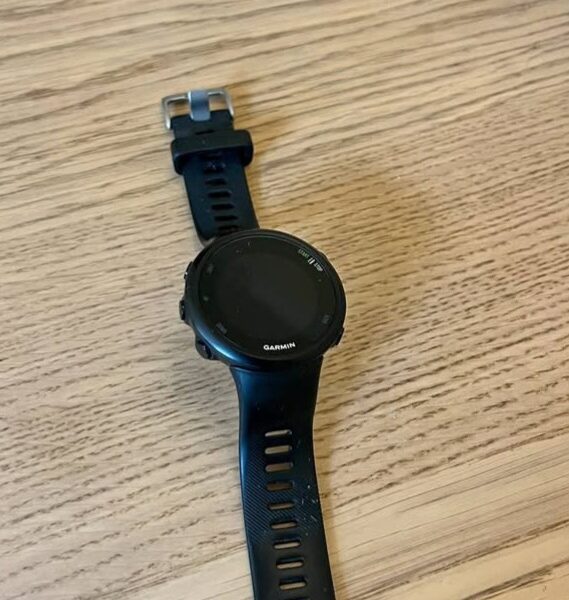 Garmin forerunner 45