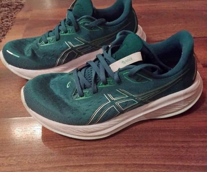 basket asics